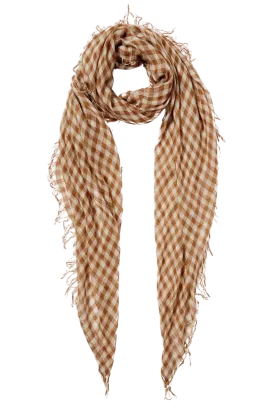 Cashmere and Silk Scarf in Cafe